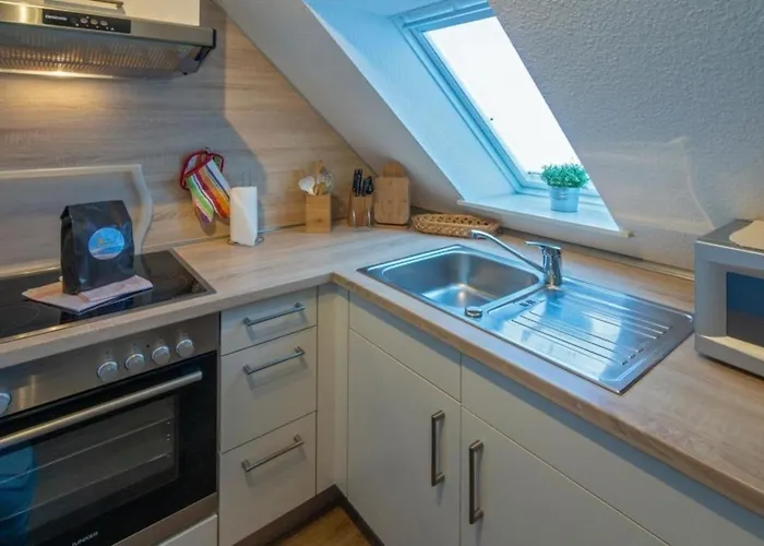 Seestern نوردين