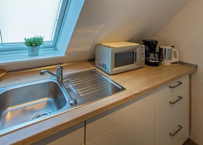 Seestern * نوردين