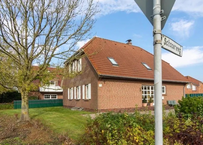 Seestern نوردين