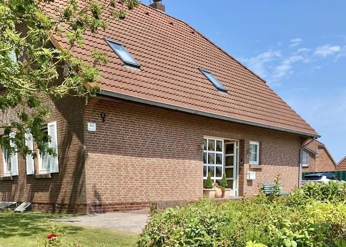 Seestern * نوردين